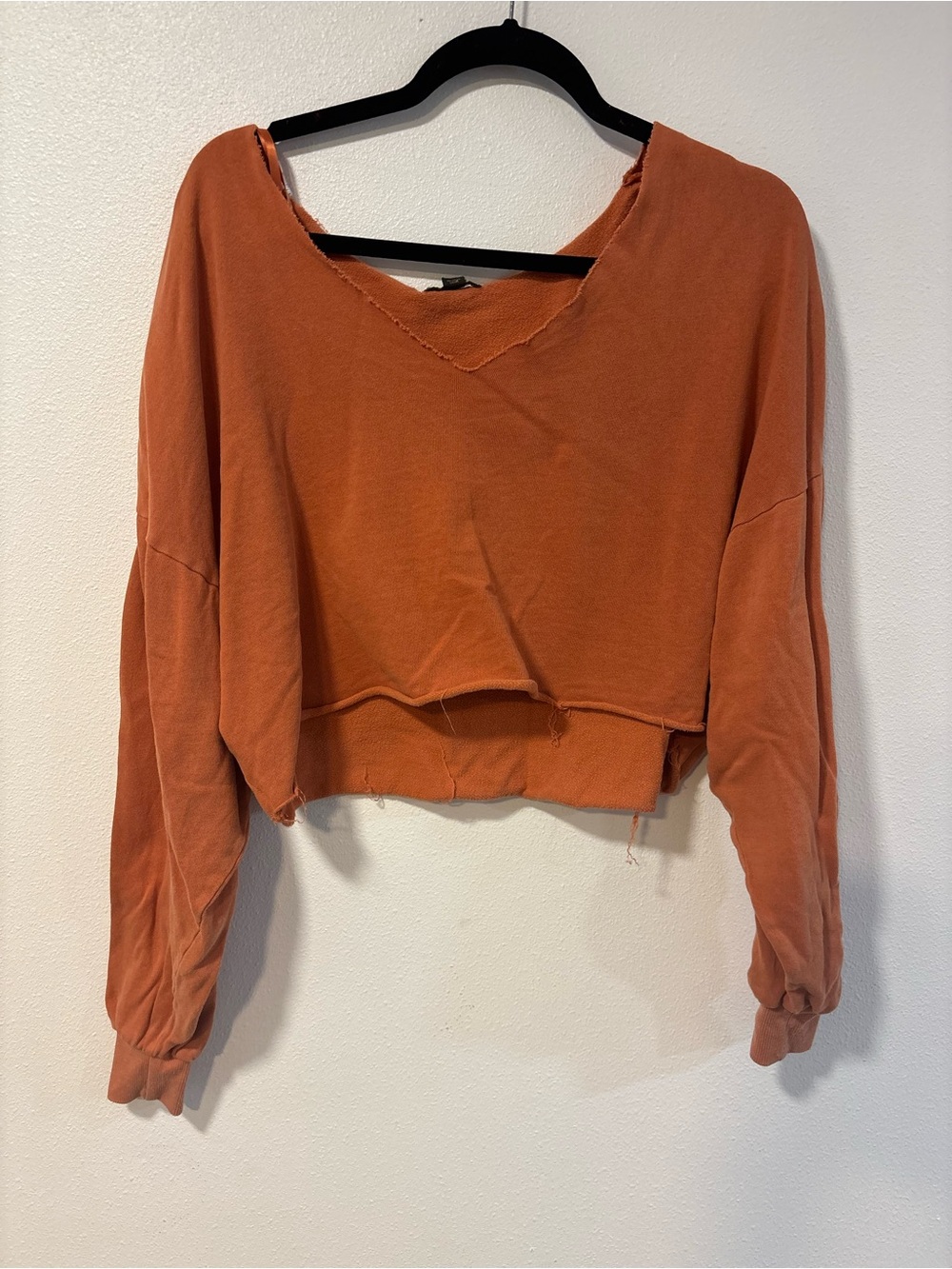 wild fable Cropped Boxy Top in Rust
